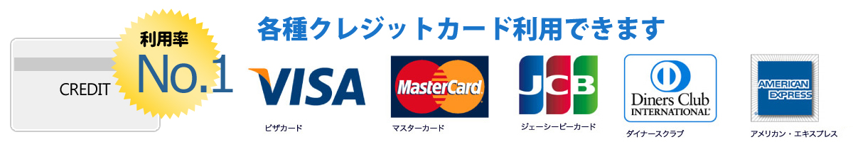 各種クレジットカード使えます。